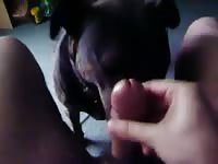 Guy With His Dog Slave 1 Gay Beast Com - Beastiality Sex Tube