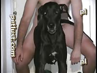 Dog Man Xxxcm - Dog XXX Movie: Beastiality Porn ] man female and male dogs at once - Zoo Porn  Dog at Katitube