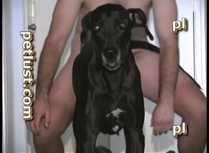 Girl Dog Porn Cum