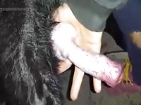 Hold The Cock Gay Beast Com - Animal Sex Tube