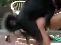 Girl having dog sex with dog in backyard