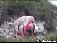 AnimalSexFun: Amateur takes dog to fuck while on a walk in dog porn