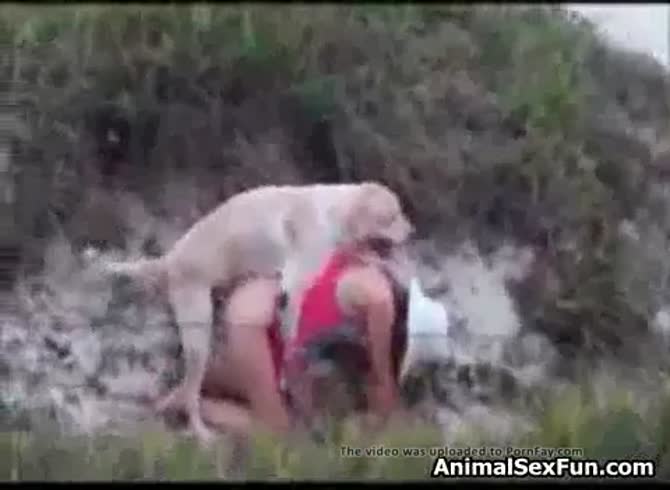 670px x 490px - AnimalSexFun: Amateur takes dog to fuck while on a walk in dog porn - Zoo  Porn Amateur, Zoo Porn Dog at Katitube