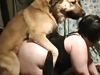 Dog casually makes whore cum while having dog sex