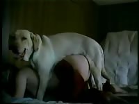 Frisky slut enjoys having sex with Labrador in dog porn