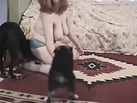 Chubby whore fucked doggy style in dog porn