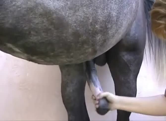 Happy Horse Sex Porn - Fat whore enjoys horse cock in farm porn - Zoo Porn Horse at Katitube