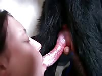 Young Alexandra sucking on dog dick in bestiality video