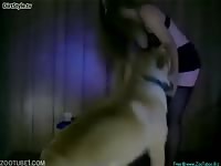 DirtStyle: Woman invites dog to enter her in bestiality video