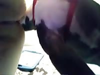 Woman has quick dog fuck in zoo xxx