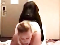 Very horny canine jumped on his owner in wild beastiality