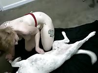Amateur teen experienced extreme dog porn