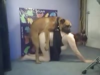 Brunette housewife taking it hard from the family dog