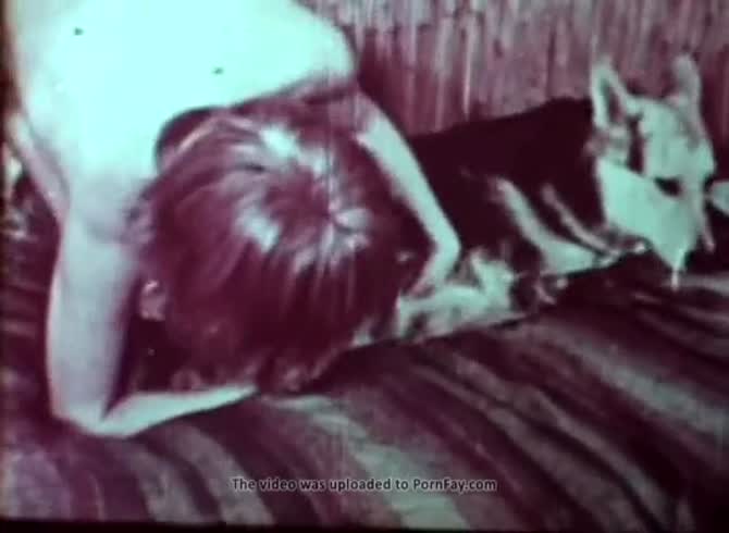 Antique Animal - Vintage dog porn video ends in messy cumshot - Zoo Porn Dog at Katitube