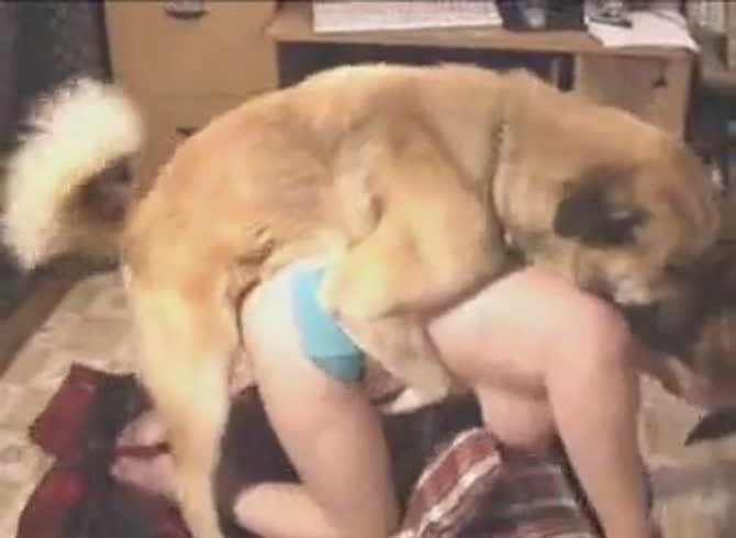Shawn having nasty animal sex with dog - Zoo Porn Dog at Katitube