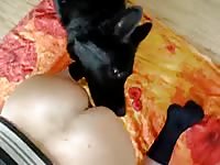 Homemade bestiality porn with dog