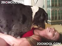 Curvy zoophilia girl getting rammed in zooskool