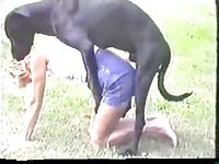 Danish Dog having sex outdoors in animal porn