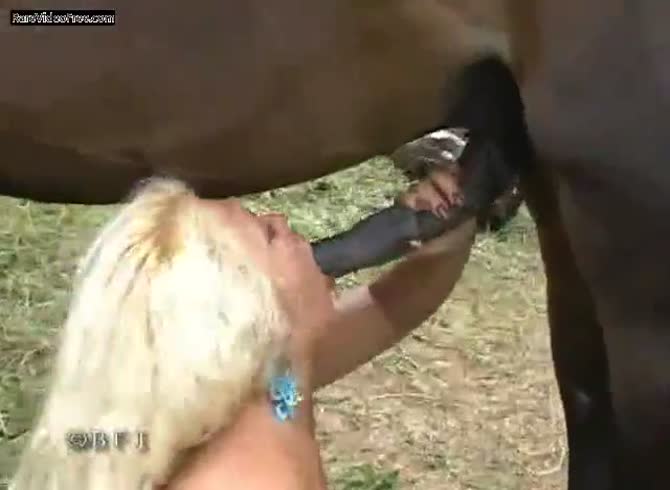 Horse anal with Best Anal
