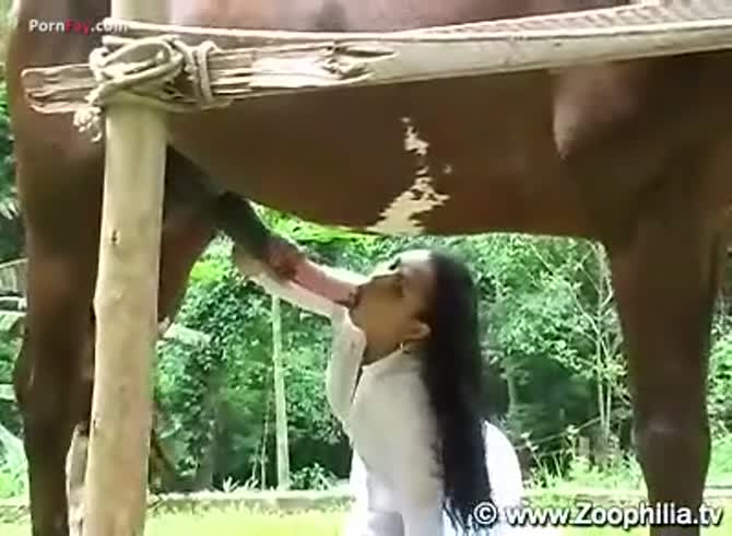 Doctor having anal sex with horse in zoo porn - pornfay - Zoo Porn Horse at  Katitube