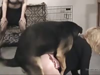 Woman caged and fucked in dog porn