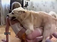 Cute mature woman gets pounded by her dog
