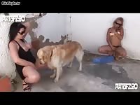 Dog has bestiality threesome with two kinky sluts