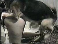 MILF and a dog have rough animal sex