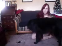 Bestiality porn with a dog and his owner