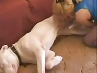 Woman gives dog a blowjob in animal sex video
