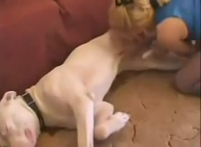 Sex Dog Wife Morning - Woman gives dog a blowjob in animal sex video - Zoo Porn Dog at Katitube