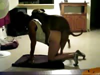 Woman humped by dog cock in dog porn