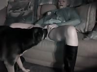 Dog joins in on horny couple having bestiality sex