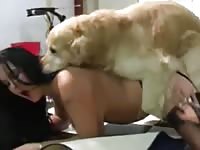 Dog shoots load into woman&#039;s pussy bestiality