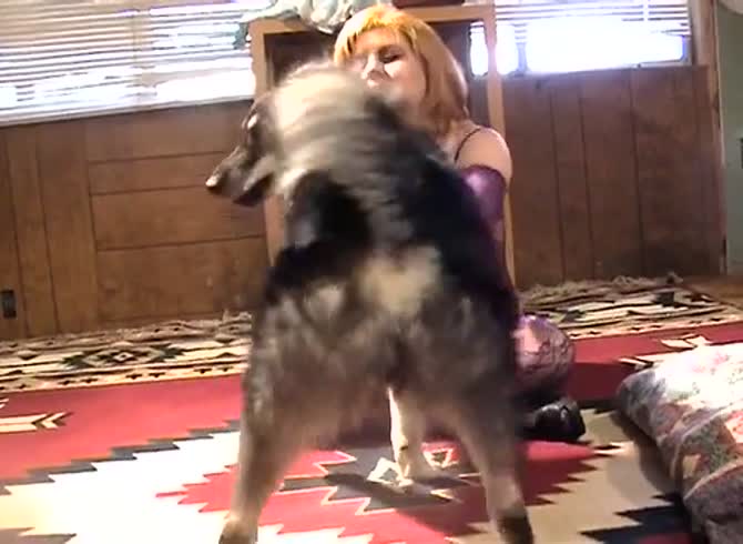 Dog And Grils Sex Romance Video New - Blonde woman and her dog enjoy romantic dog sex - Zoo Porn Dog at Katitube