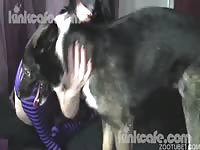 Kinky lady makes dog cum with her mouth in dog porn