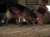 Woman can't stop cumming from having dog cock inside her pussy zoophilia