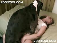 ZooSkool: Large dog having dog sex with owner missionary-style