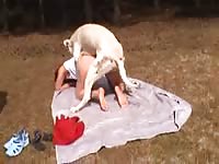 Hot teen goes in a picnic to have dog sex