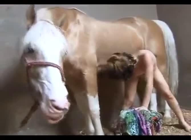 Porn horse facial Horse Cum