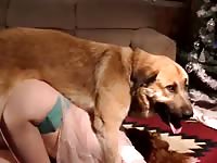 She lets her dog cum inside her