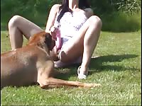 Young woman has outdoors animal sex