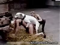 White k9 having animal sex with whores