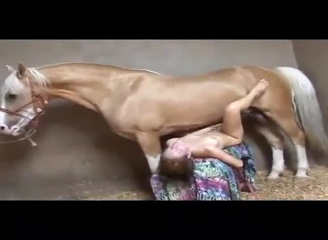 Girls And Horse Video Mp4 - Eager girl can't wait to have animal sex with stallion - Zoo Porn Horse at  Katitube