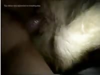 Extreme close up as dog fucks woman in beastiality session