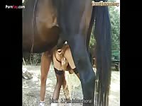 Horse makes blonde whore cum multiple times with his cock in horse porn