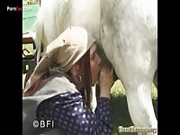 Porn fay: White horse having intense sex with farm whore