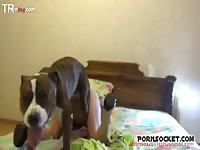 Woman gets knot stuck after dog sex