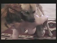 Dog passionate dog sex with hot chick