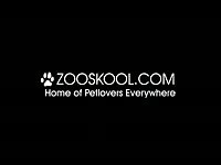 Zoo Skool : Presenting the kinkiest animal porn videos
